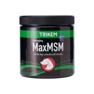 WorkingDog Max MSM