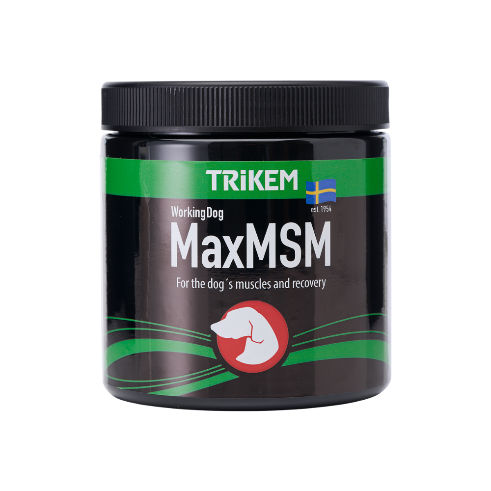 WorkingDog Max MSM