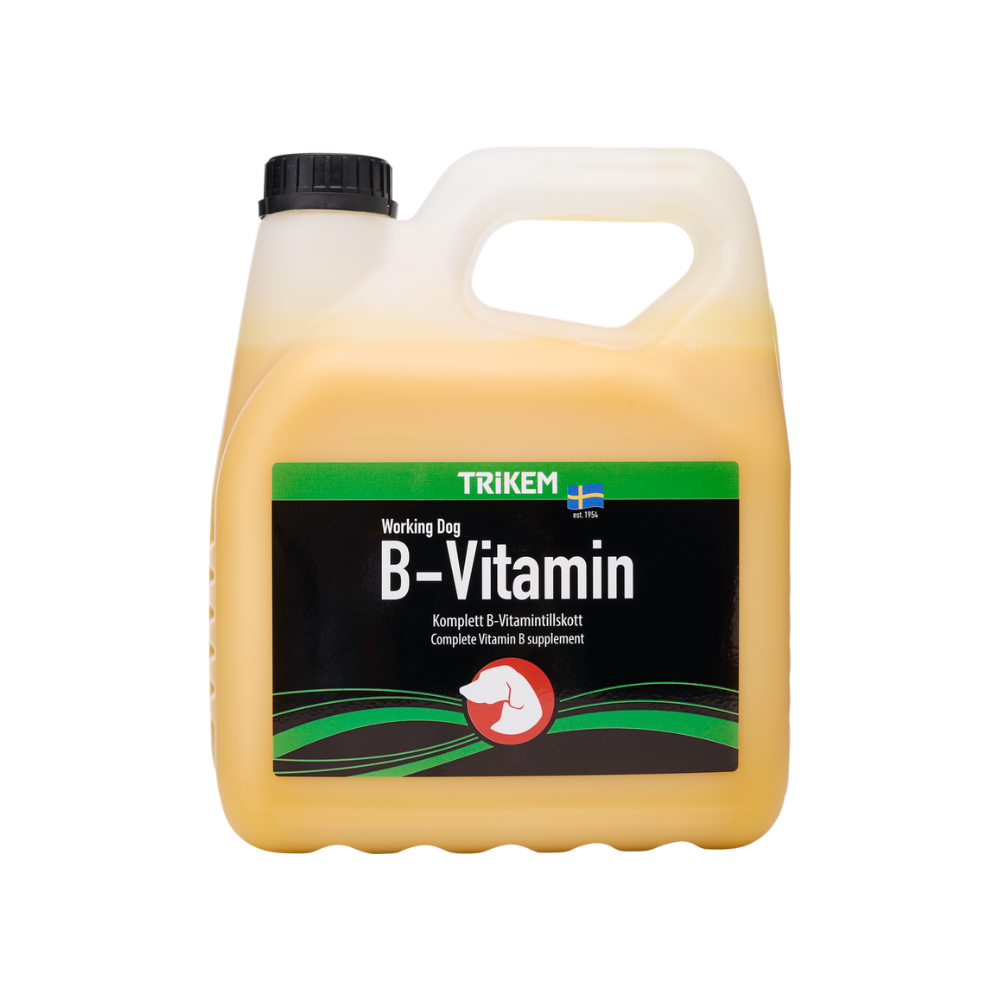 bvitamin3000